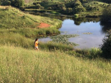 Planes para el fin de semana en el Bierzo. 11 al 13 de septiembre 2020