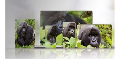 Qué es el cristal Gorilla Glass de nuestros móviles. Para qué sirve y evolución Qué es el cristal Gorilla Glass de nuestros móviles. Para qué sirve y evolución