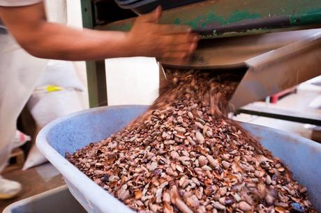 Crece el consumo de chocolate saludable en España, según datos recogidos por Pacari Crece el consumo de chocolate saludable en España, según datos recogidos por Pacari