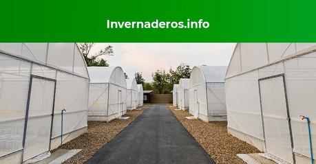 Guantes y ropa agrícola para invernadero según Invernaderos.info