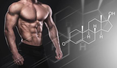 Cómo estimular las hormonas para el culturismo hormonas anabólicas