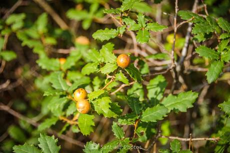 En defensa En defensa