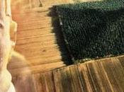 Misterios Tumba Emperador Huang