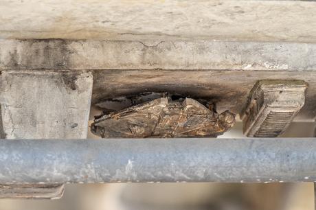 ¿Cuánto cambiará Star Wars: Galaxy’s Edge a Disney World? ¿Cuánto cambiará Star Wars: Galaxy’s Edge a Disney World?