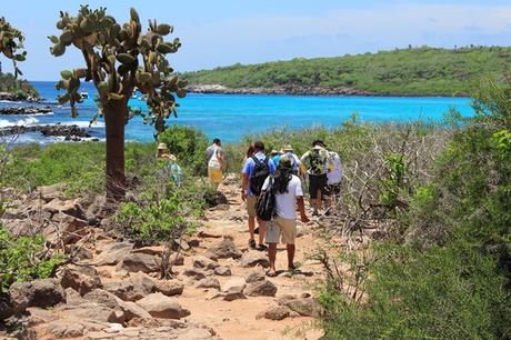 Ecuador: Crean plan turístico en pandemia para las Islas Galápagos Ecuador: Crean plan turístico en pandemia para las Islas Galápagos