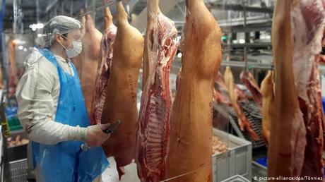 China y Argentina detienen importación de cerdo de Alemania por peste porcina