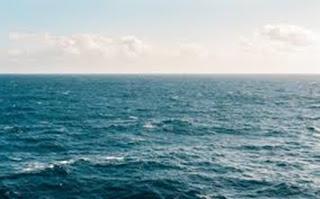 LA BIÓSFERA LA BIÓSFERA