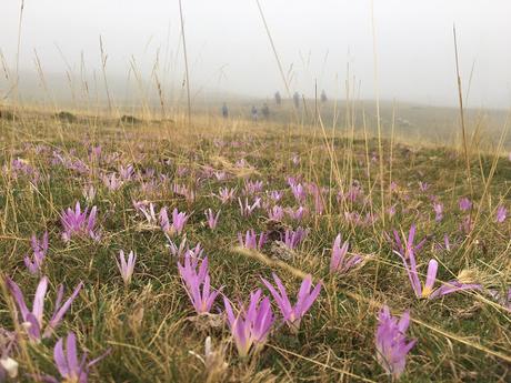 Ubiña Pequeña desde Casa Mieres Ubiña Pequeña desde Casa Mieres