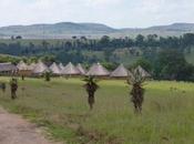 Violaron nena años: detenidos tienen años