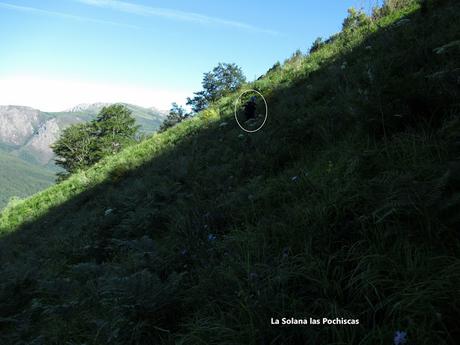 Ricao-Pena Rueda (por Las Salaeras)