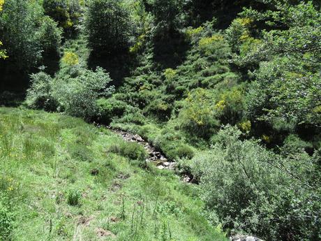 Ricao-Pena Rueda (por Las Salaeras)