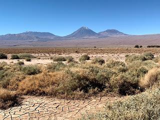 San Pedro de Atacama, mi amor. Julio 2016 (2006, 2007,2008, 2014,2016 y 2019)