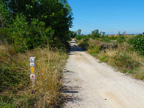 Repasando el Camino de Santiago: de Villadangos a Hospital de Órbigo, León.