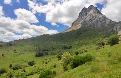 bosque-gilbo-riano 