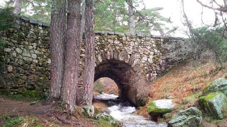 Rutas en familia por la Sierra de Guadarrama
