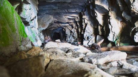 Móstoles se mueve con actividades de otoño para familias Móstoles se mueve con actividades de otoño para familias