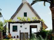 Visitas guiadas gratuitas Albufera Valencia