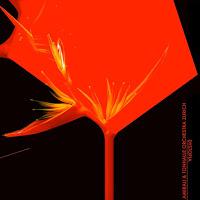  Amirali colabora con la Tonhalle Orchestra Zurich y estrena Dystopia