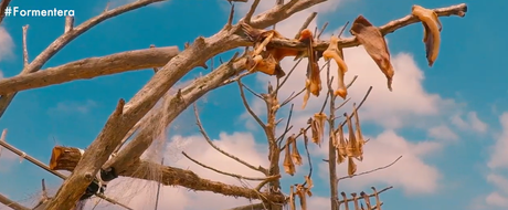 ¿CUANDO VAMOS A REPENSAR LA DEPENDENCIA ECONÓMICA DEL TURISMO?