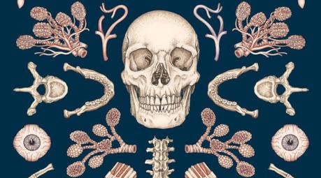 Anatomicum.Un museo en casa Anatomicum.Un museo en casa