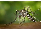 virus pueden causantes accidentes cerebrovasculares