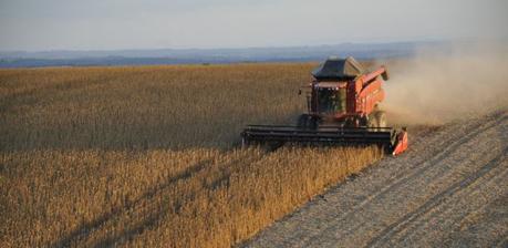 ¿El Origen del Coronavirus? Los Cuatro Monocultivos del Apocalipsis ¿El Origen del Coronavirus? Los Cuatro Monocultivos del Apocalipsis