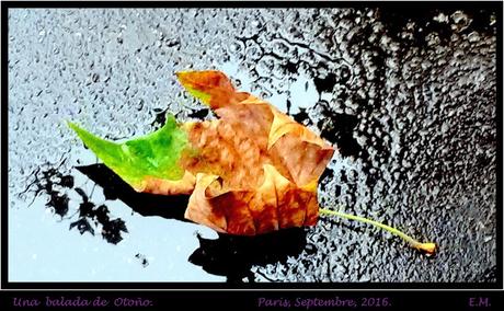 BES-ARTE y ABRAZ-ARTE.  OTOÑO 1