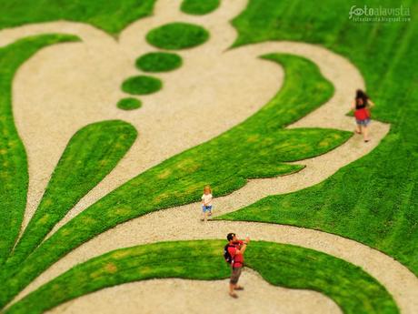 Como caminos de vida - Fotografía