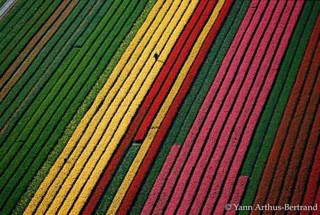 LA TIERRA VISTA DESDE EL CIELO - Yann Arthus Bertrand