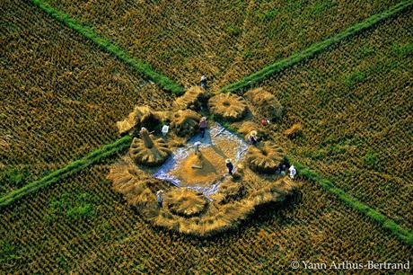 LA TIERRA VISTA DESDE EL CIELO - Yann Arthus Bertrand