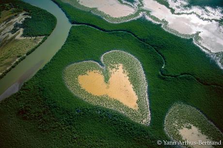 LA TIERRA VISTA DESDE EL CIELO - Yann Arthus Bertrand