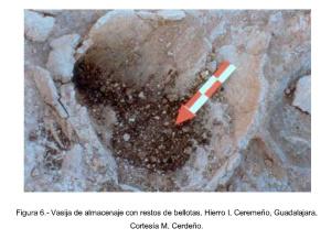 Las bellotas en la Prehistoria y en la Sierra Norte de Guadalajara