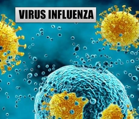 Coronavirus o Gripe, cuál es más Mortal? Coronavirus o Gripe, Cual es màs Mortal?