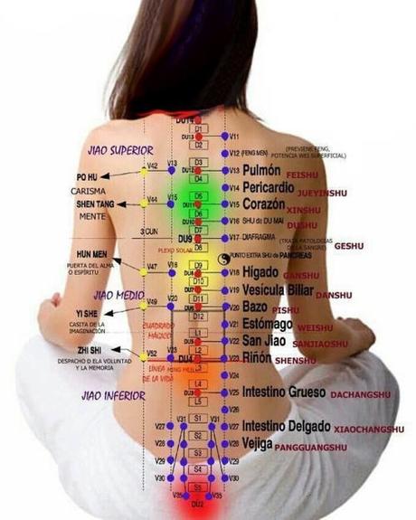 Medicina china una alternativa para la Occidental