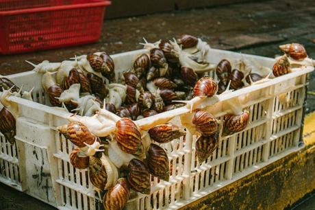 el nuevo Coronavirus