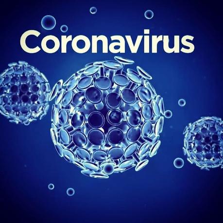 El nuevo Coronavirus (CoV)