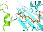 Encuentran Punto Clave lograría eliminar Covid