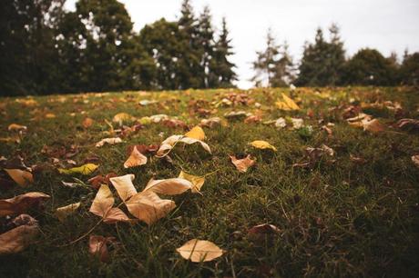 Acompañando a un bebé en el duelo