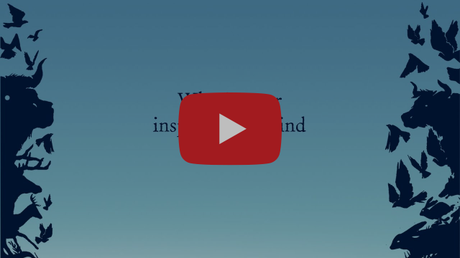 La niña halcón de Joseph Elliott