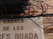 cases Boada Catalunya Plural