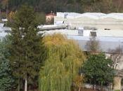 Schaeffler Iberia hacia gestión 100% sostenible