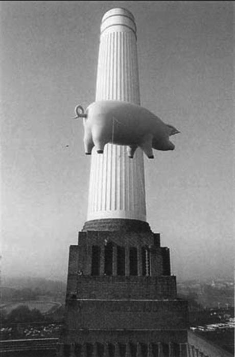 La Política y la Mutilación de lo Viviente