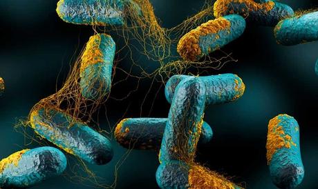 La fiebre mata microbios: ¿Podríamos tener siempre la temperatura alta?