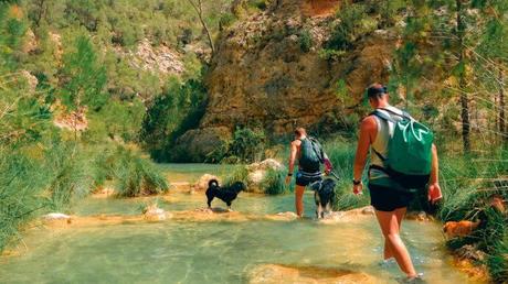 Rutas con niños y uno más en Valencia