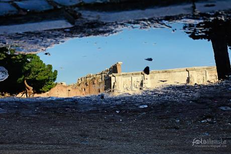 Reflejo de la memoria - Fotografía