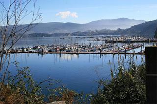 2020, Un verano en la pandemia.- De mar a océano con la mascarilla en el rostro.- 9 Galicia: Visitando la península del Morrazo, con decepción por las ostras inalcanzables 2020, Un verano en la pandemia.- De mar a océano con la mascarilla en el rostro.- 9 Galicia: Visitando la península del Morrazo, con decepción por las ostras inalcanzables