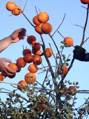 Fiesta de la Candelaria en Las Navillas (Toledo) Fiesta de la Candelaria en Las Navillas (Toledo)