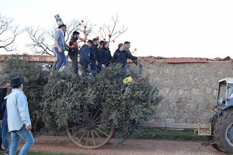 Fiesta de la Candelaria en Las Navillas (Toledo) Fiesta de la Candelaria en Las Navillas (Toledo)