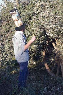 Fiesta de la Candelaria en Las Navillas (Toledo)