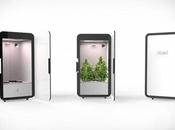 abonos para cannabis